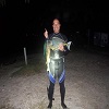 spearfishing