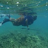 spearfishing