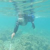 spearfishing