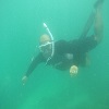 spearfishing